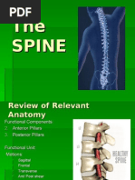 Download the vertebral column by Jen Passilan SN6484161 doc pdf