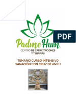 Temario Curso Intensivo Cruz de Ankh 2023