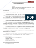 10 - Processo Administrativo