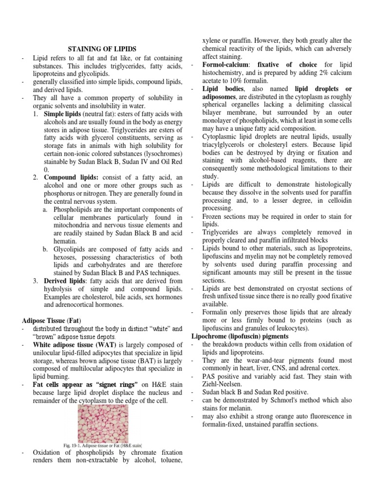 Staining of Lipids PDF Staining Lipid