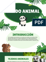 Presentación de Biología - Tejido Animal