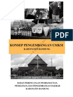 Konsep Pengembangan UMKM Kabupaten Bandung Bidang PSDA Bappelitbangda Kabupaten Bandung