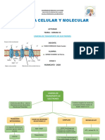 Activ. Biologia S13 Teoria - Cte