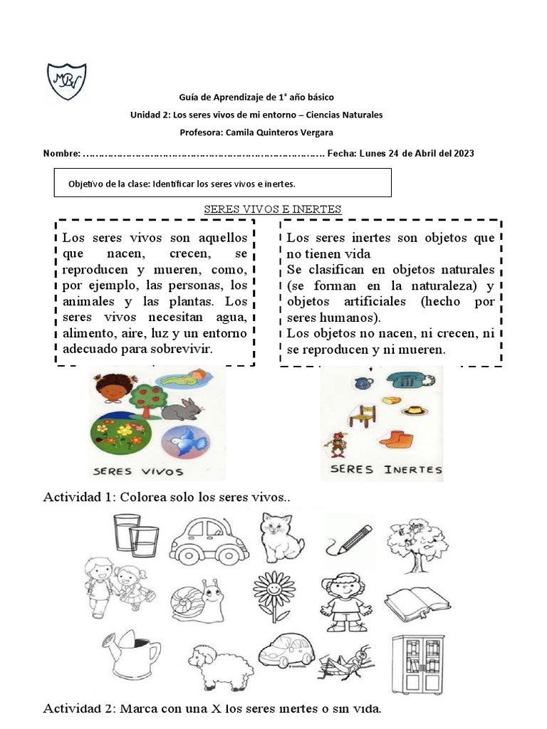 Guia de Los Seres Vivos e Inertes | PDF | Ciencias sociales