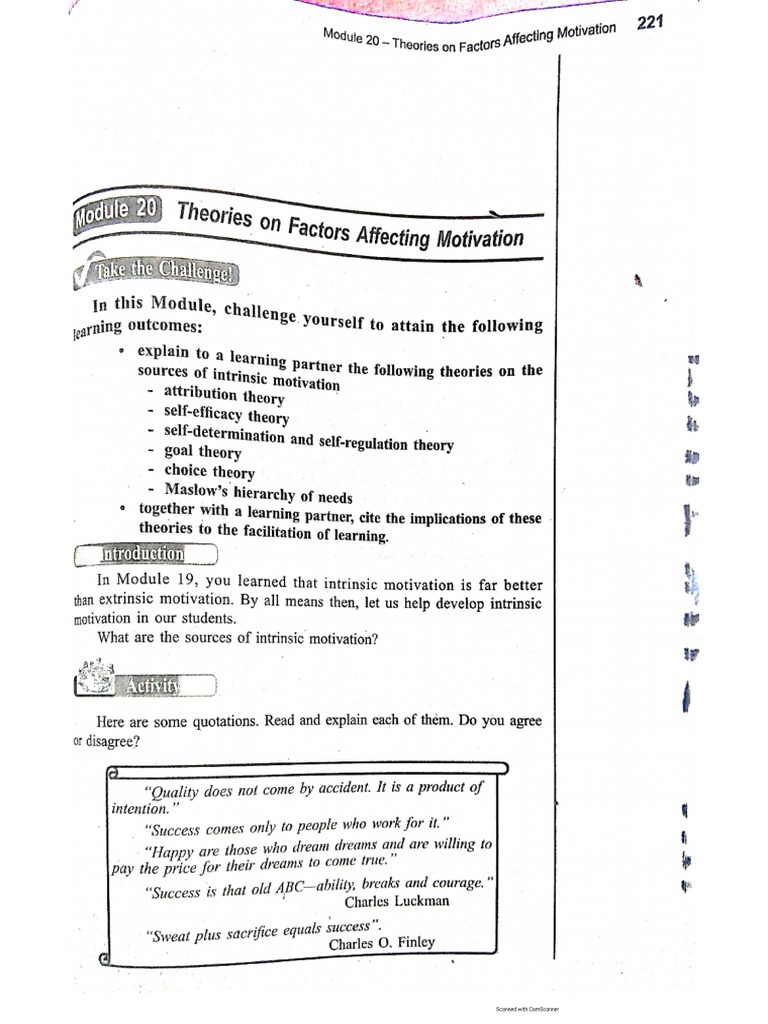 Theories On Factors Affecting Motivation | PDF