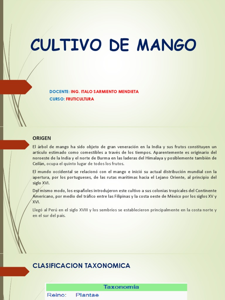 Cultivo de Mango | PDF | Mango | Plantas