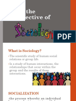 Lesson 2. From The Perspective of Sociology