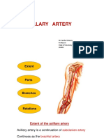 Axillary Artery