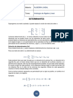 Álgebra Lineal - Determinantes
