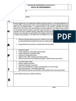 Sepsis Pulmonar