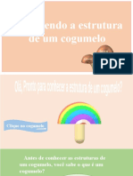 Conhecendo A Estrutura de Um Cogumelo