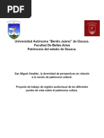 El Patrimonio Cultural y Lo Propio en San Miguel Amatlan 2