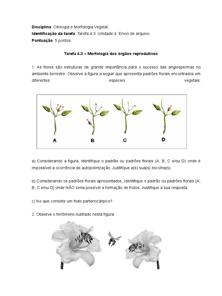 Morfologia e Importância das Flores | PDF | Fruta | Flores