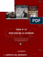 Tema 25 Efectos de La Sucesion