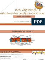 Aula 2 Biomembranas e Organização Celular