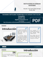 Diapositivas Exposición Societario