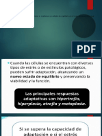 Causas de Lesión y Muerte Celular