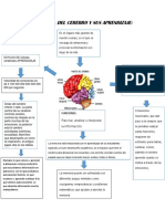 Mapa Conceptual Del Cerebro y Sus Aprendizaje 1