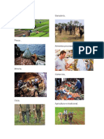 Agricultura Pesca Mineria Caza Ganaderia - Docx1