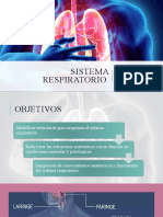 Sistema Respiratorio