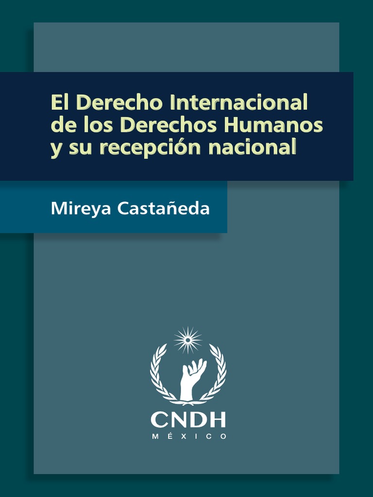 Derecho Internacional de los Derechos Humanos | PDF | Derechos humanos ...