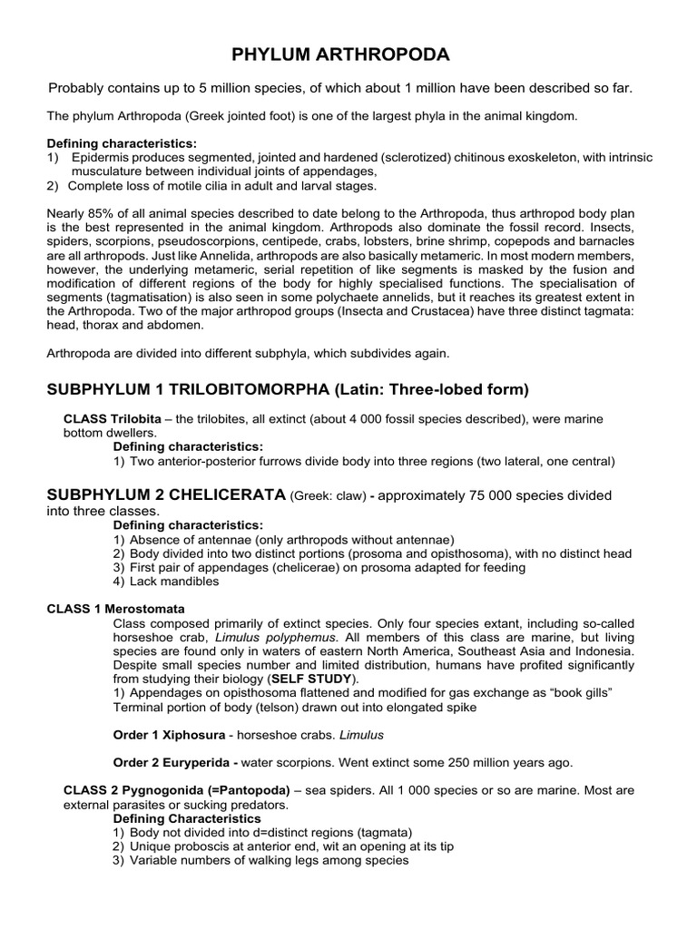 Classification of Phylum Arthropoda | PDF | Fly | Insects