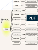 Gráfico Cuadro Sinóptico