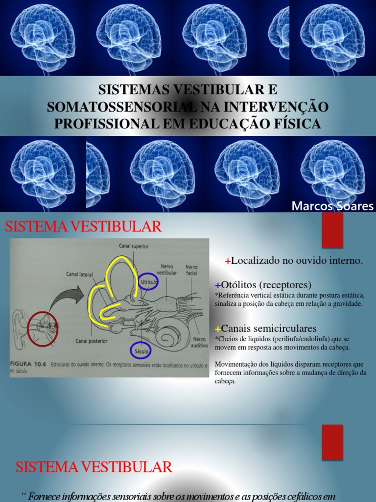 Sistema Vestibular e Somatossensorial | PDF | Sistema vestibular ...