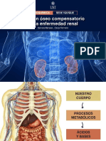 Tamponoseo Moralesromero Bioquimica