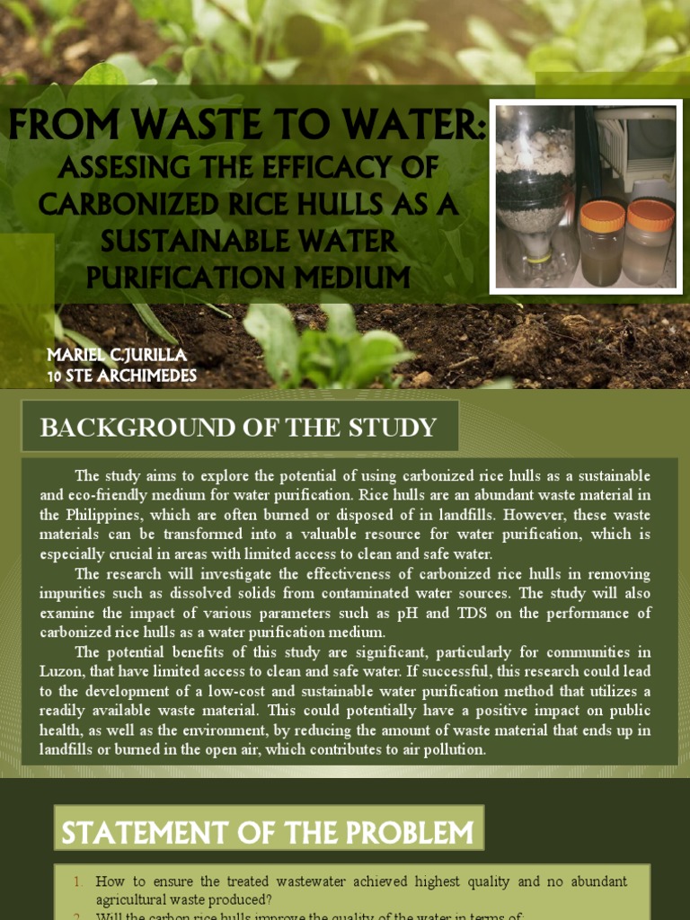Carbonized Rice Hulls for Water Purification | PDF | Water Purification ...