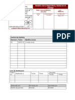 PM-SST-5.3 Roles, Responsabilidad y Autoridad