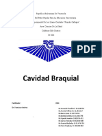 Cavidad Braquial ....