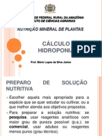 Calculo Hidroponia1