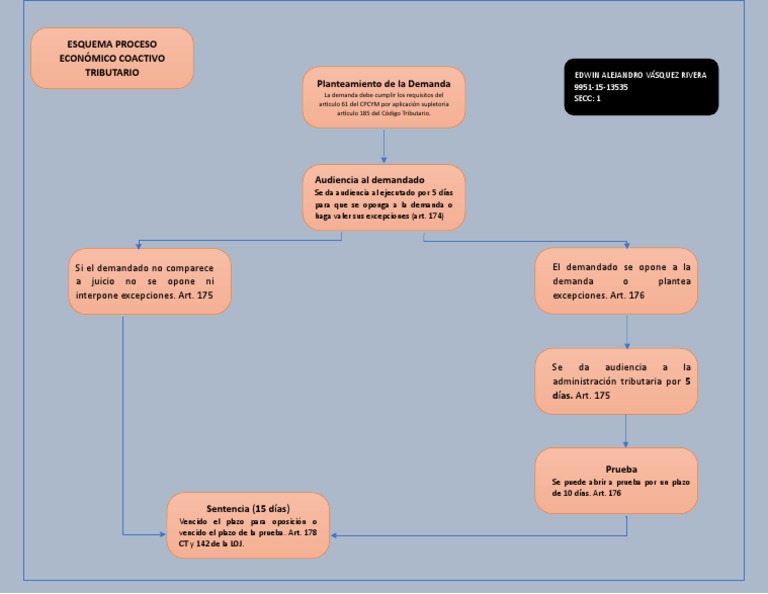 Esquema Proceso Econ mico Coactivo Tributario PDF Justicia Crimen 