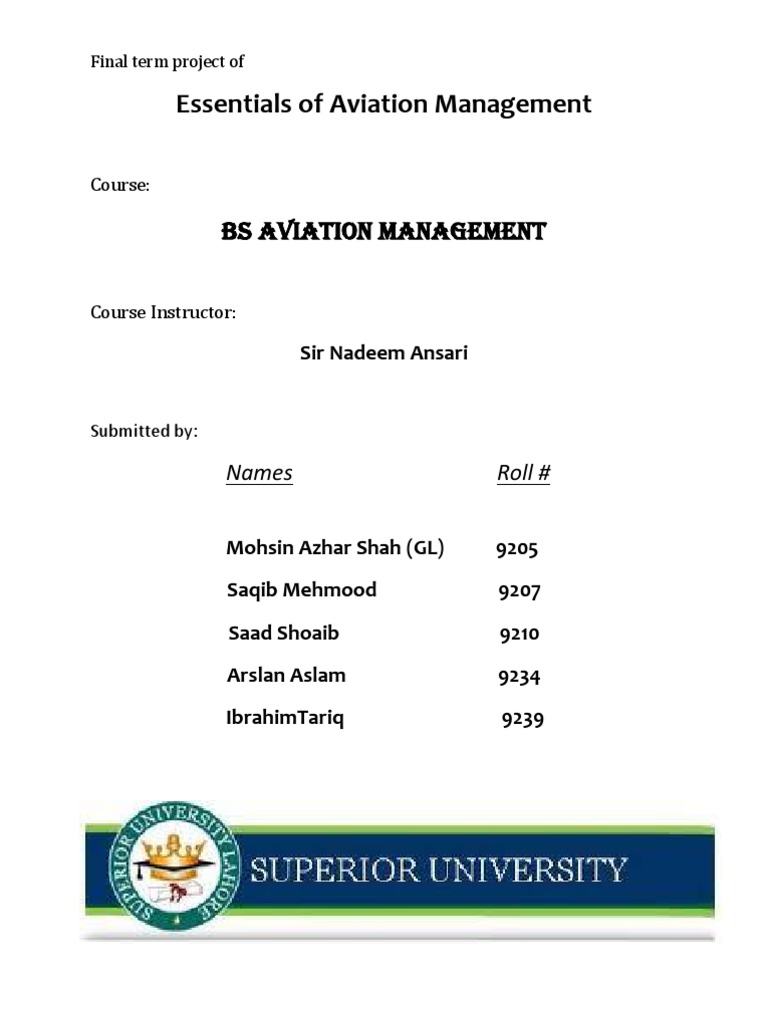 Airline Business Plan PDF Airlines Airline Hub