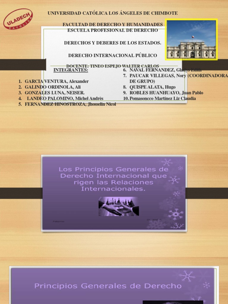 Derechos y Deberes de los Estados | PDF