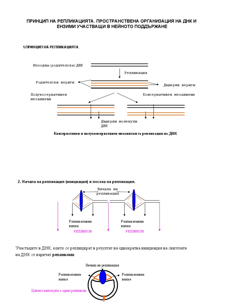 2 Replication | PDF
