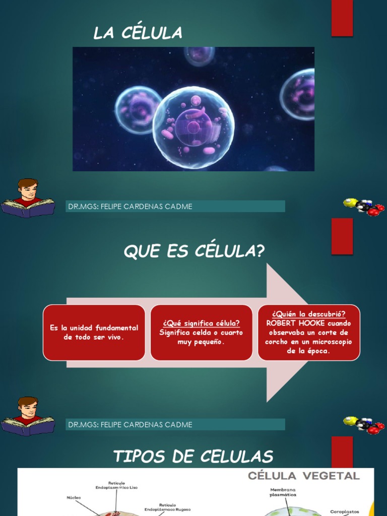 Estructura y Función de la Célula | PDF | Citoplasma | Biología Celular)