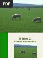 El Salmo 23