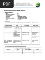 Esquema de Proyecto Educativo Ambiental Integrado