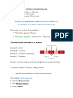 VIDEO Contracción Muscular