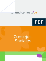 Consejos Sociales