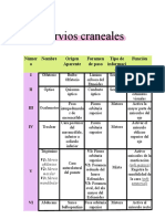 Nervios Craneales