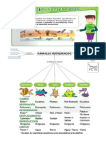 Animales Vertebrados