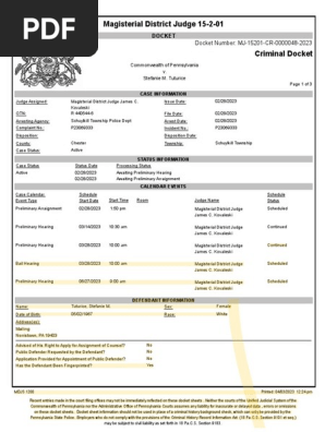 MDJ Docket Sheet | PDF | Bail | Magistrate