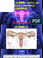 fisiologia-femenina-antes-del-embarazo-y-hormonas-femeninas Dr Kadima Mikhail UDABOL