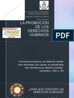 La Promoción de Los Derechos Humanos