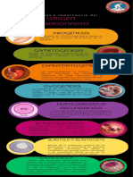 Infografia Embrionaria