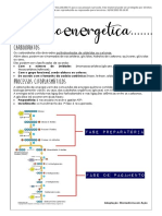 1,.1.bioenergética - Passei Direto