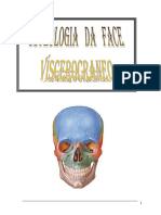 Osteologia Da FACE